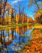 Rivière dans la Forêt d’Érables Broderie Diamant