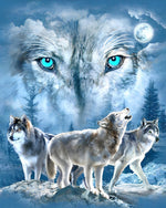Roi Loup Blanc Broderie Diamant