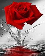 Rose Rouge dans l’Eau Broderie Diamant
