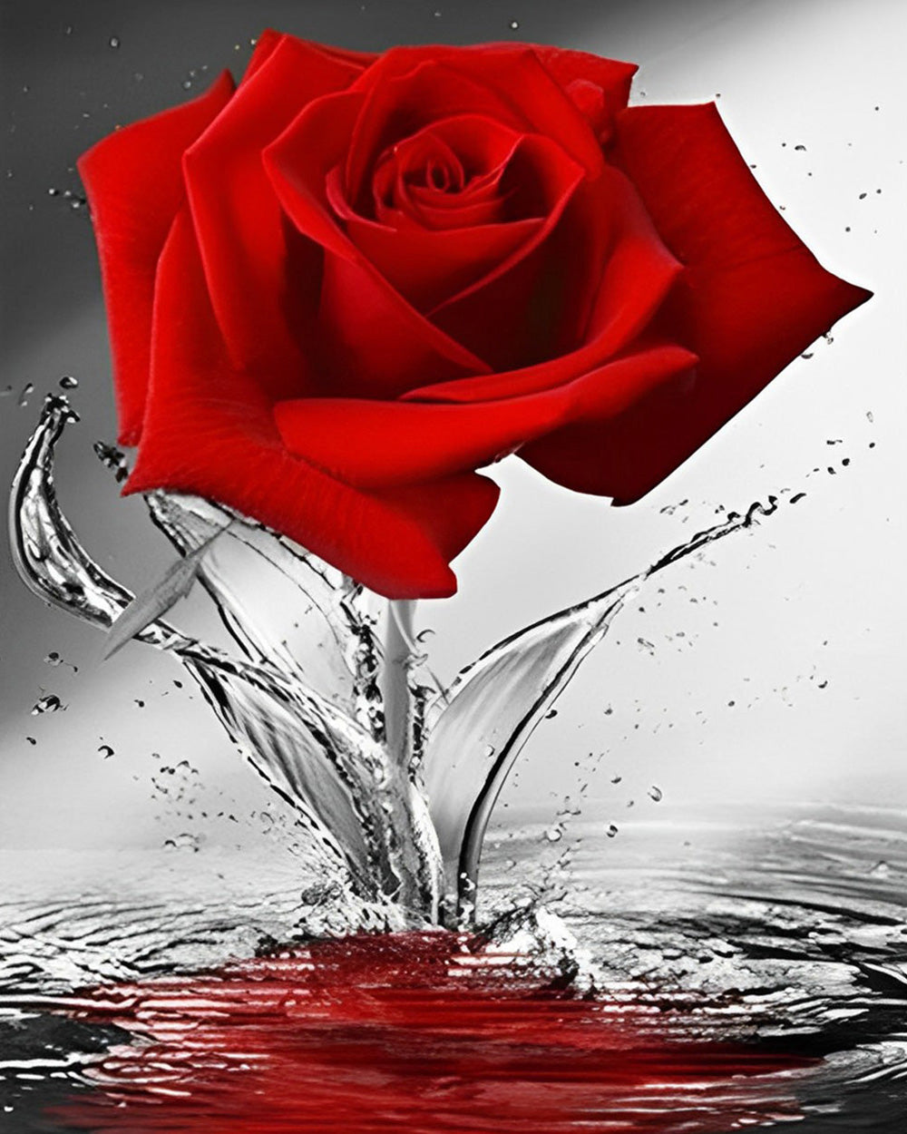 Rose Rouge dans l’Eau Broderie Diamant