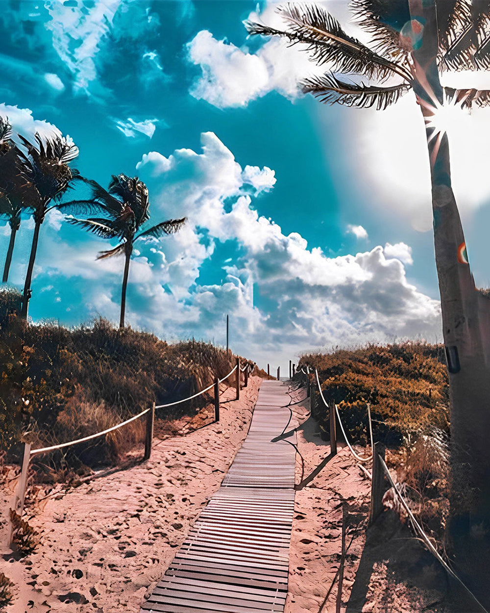 Sentier et Palmiers sous le Ciel Bleu Broderie Diamant