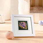 Série Animaux 10 Pièces – Kit de Broderie Diamant Mini