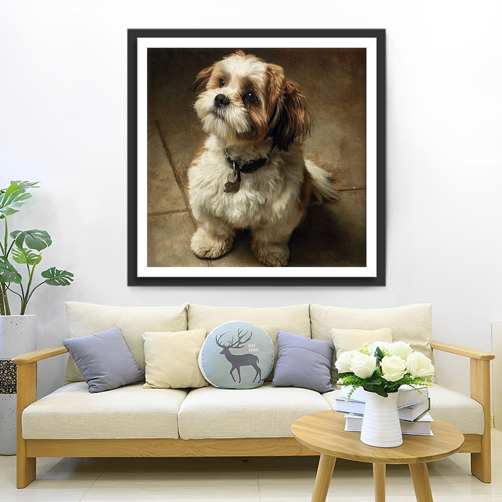 Shih Tzu sur le Sol Broderie Diamant