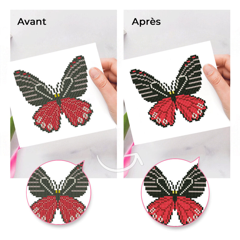 Spécimens de Papillons 12 Pièces – Kit de Broderie Diamant Mini