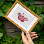 Spécimens de Papillons 12 Pièces – Kit de Broderie Diamant Mini