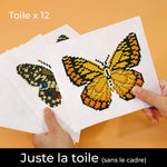 Spécimens de Papillons 12 Pièces – Kit de Broderie Diamant Mini