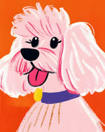 Super Mignon Caniche Blanc Broderie Diamant