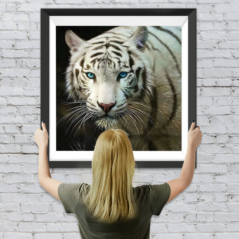 Tigre Blanc aux Yeux Bleus Broderie Diamant