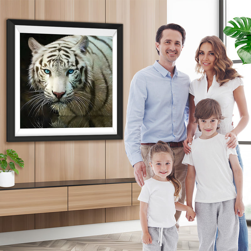 Tigre Blanc aux Yeux Bleus Broderie Diamant