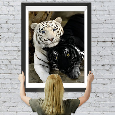 Tigre Blanc et Tigre Noir Broderie Diamant