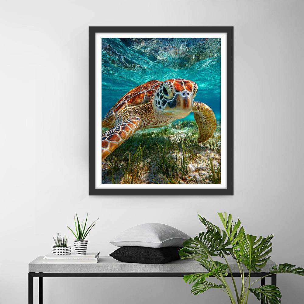 Tortue de Mer sur le Fond Marin Broderie Diamant
