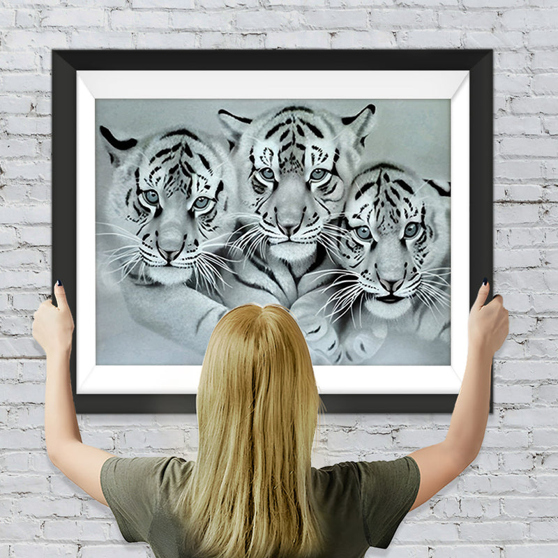 Trois Tigres Blancs Broderie Diamant