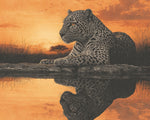 Un Léopard Couché au Bord du Lac au Crépuscule Broderie Diamant