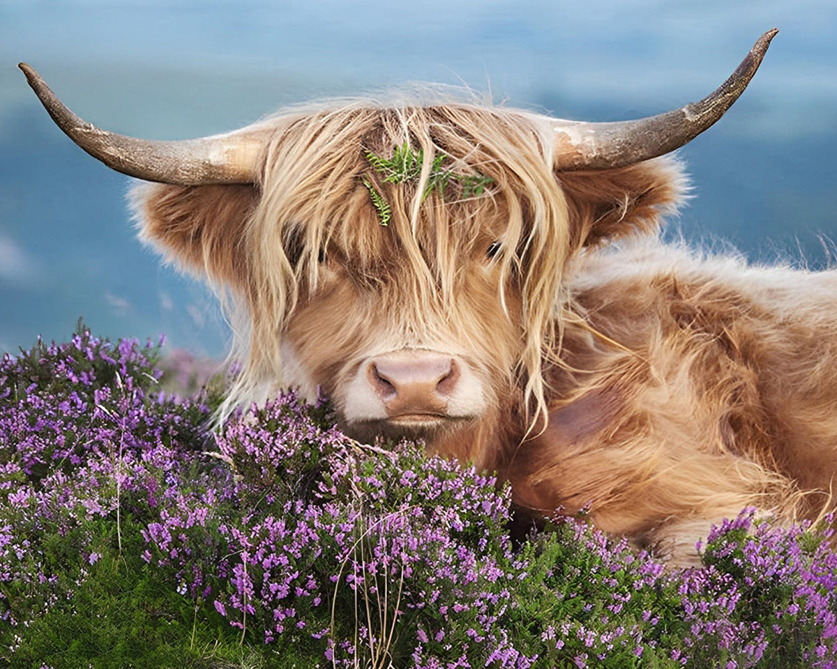 Vache Highland parmi les Fleurs Pourpres Broderie Diamant