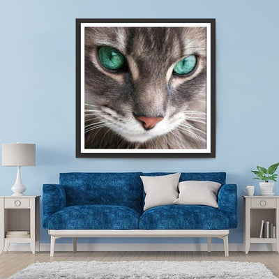 Chat Gris aux Yeux Turquoise Broderie Diamant