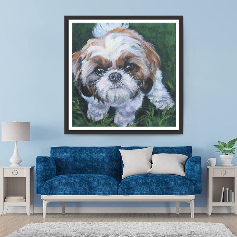 Chien Shih Tzu Brun et Blanc Broderie Diamant