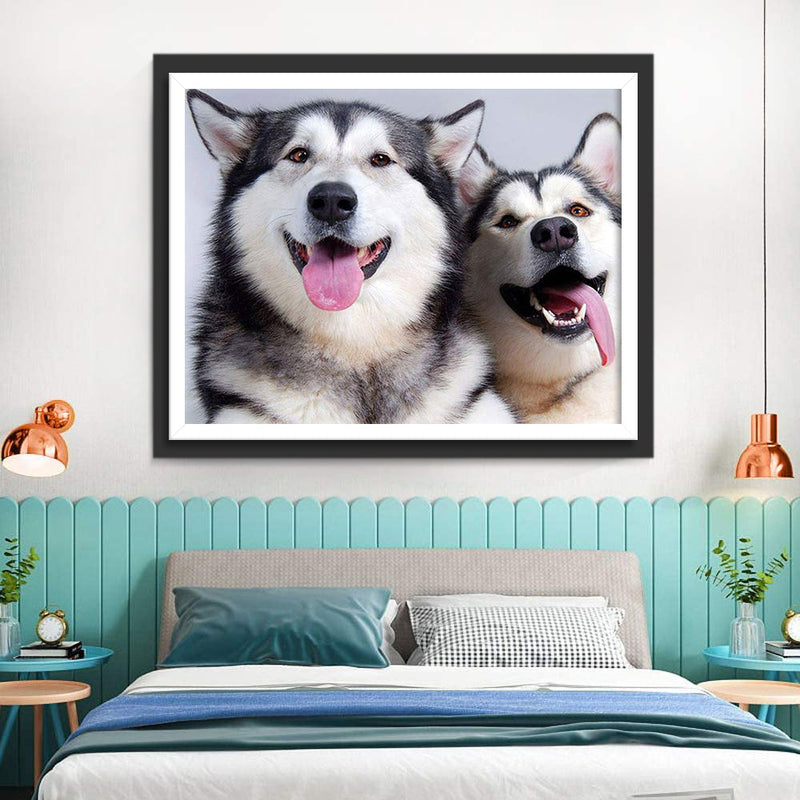 Deux Adorables Chiens Huskies Animal Broderie Diamant