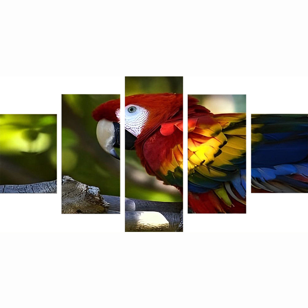 Perroquet de la Tête Rouge 5 Partie Broderie Diamant