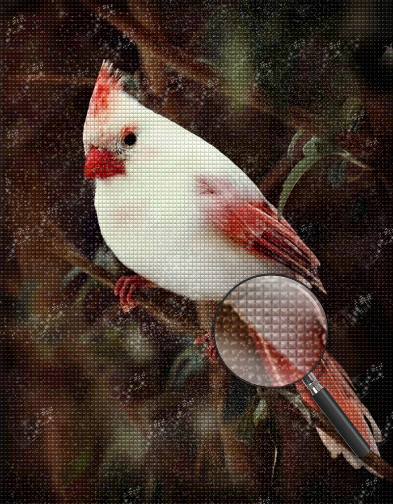 Oiseau Blanc au Bec Rouge Broderie Diamant