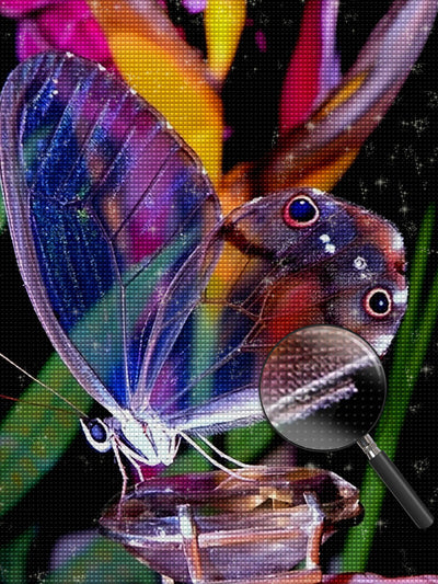 Papillon Transparent avec des Motifs Etranges Broderie Diamant