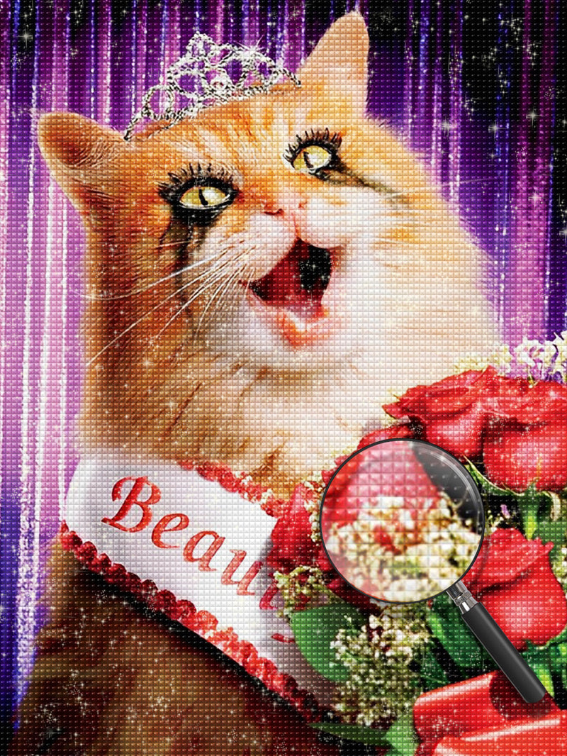 Chat Champion de Beauté Broderie Diamant