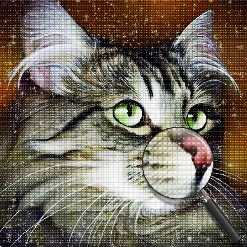 Chat Maine Coon Elégant aux Yeux Verts Broderie Diamant