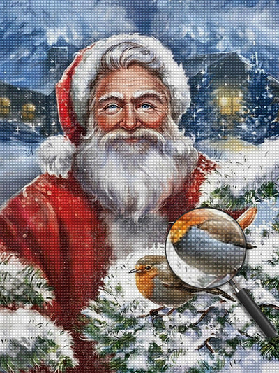 Père Noël et Oiseaux dans la Neige Broderie Diamant