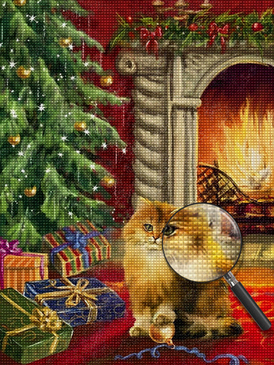 Chaton Orange à Poil Long et les Cadeaux Broderie Diamant