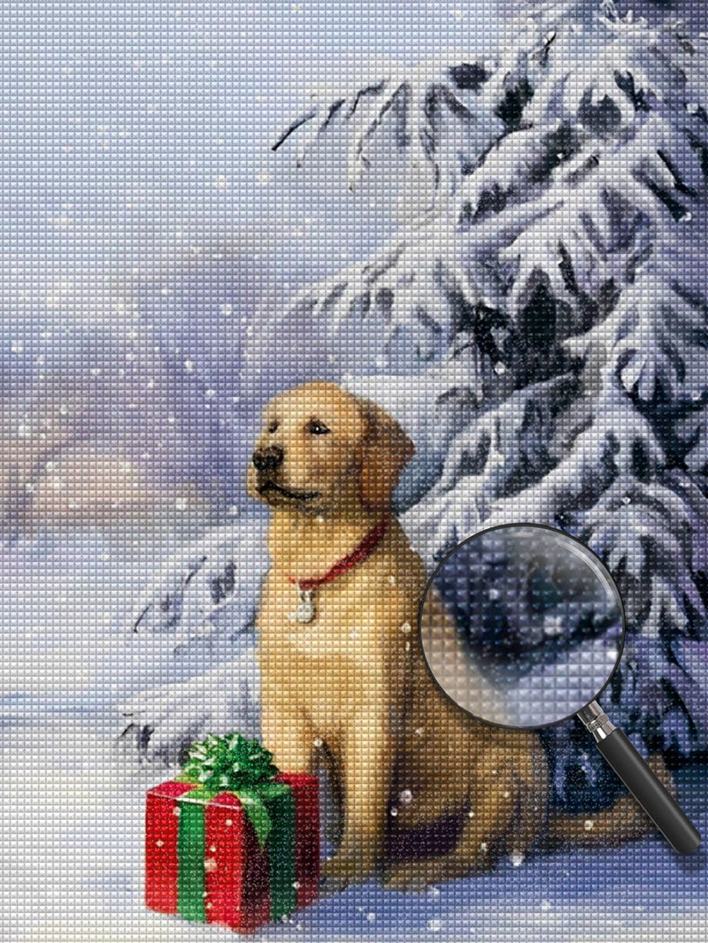 Golden Retriever et Son Cadeau Broderie Diamant