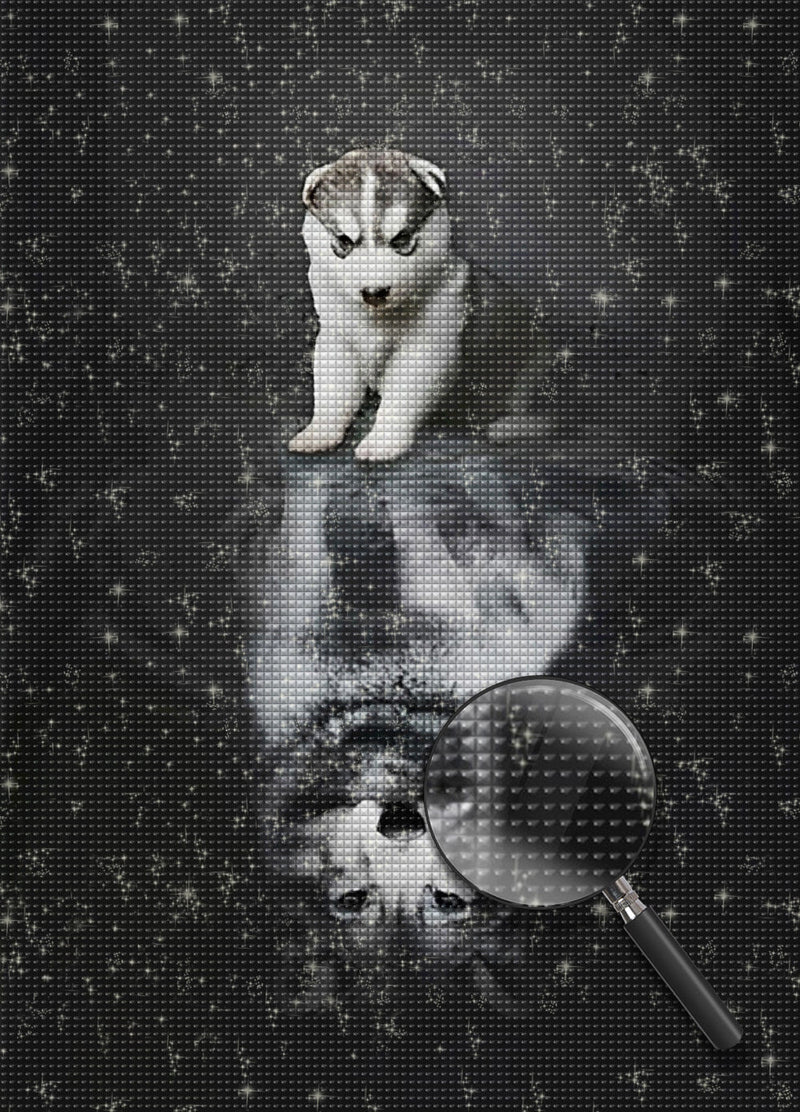 Chiot Husky Siberien et Loup dans le Reflet Broderie Diamant