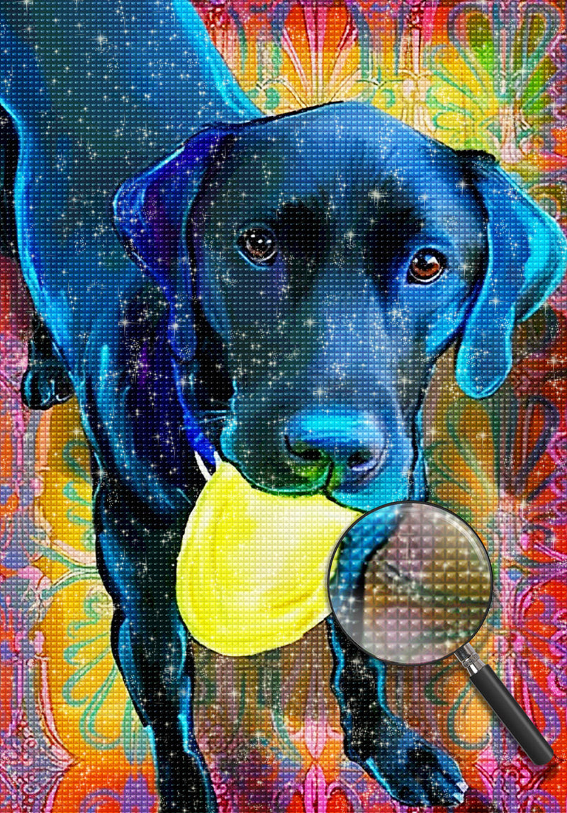 Chien Labrador Noir Jouant au Frisbee Broderie Diamant