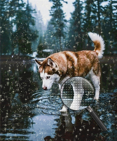 Chien Husky S'amusant à Piétiner dans l'Eau Broderie Diamant