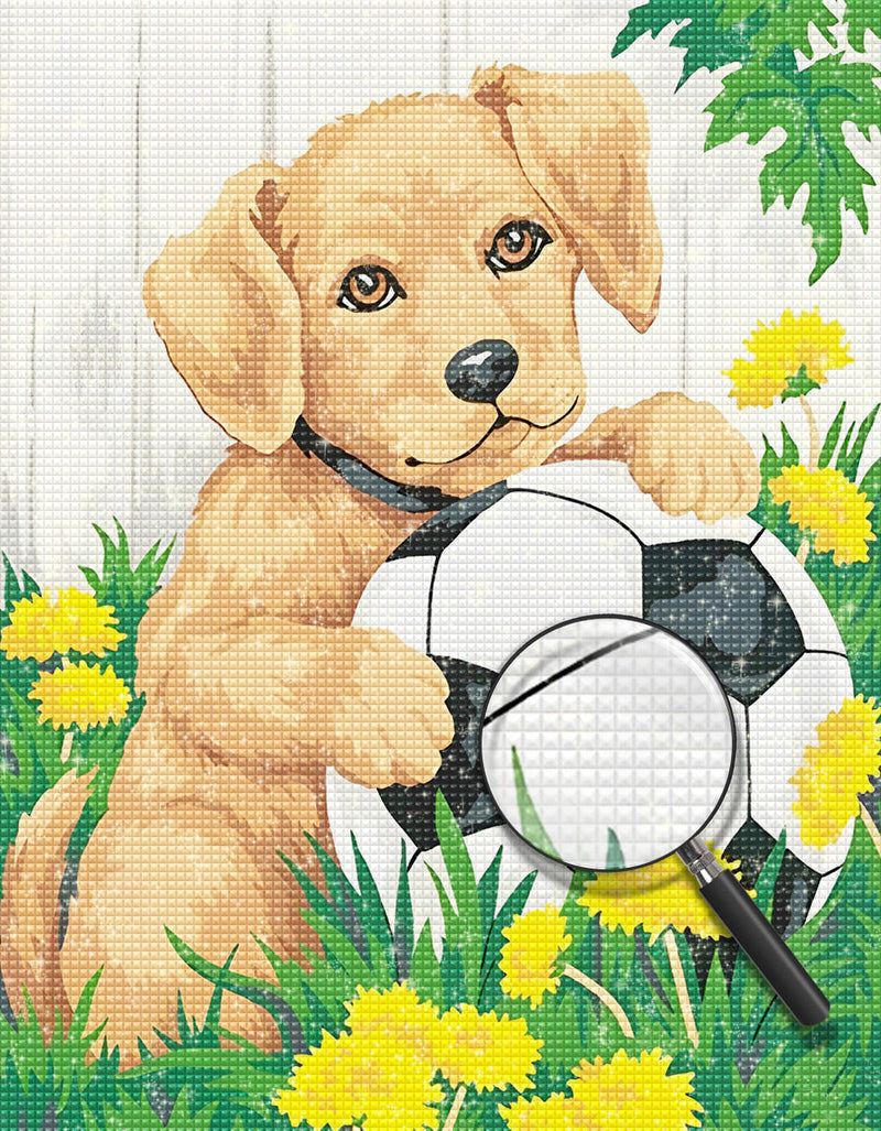 Chien Golden Retriever et le Football Broderie Diamant