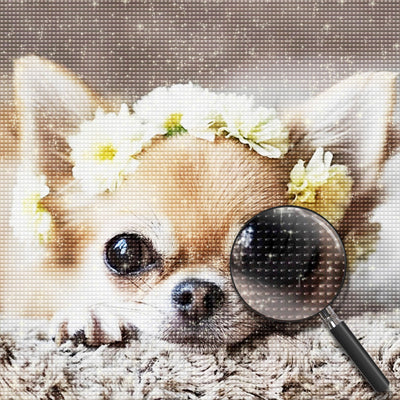 Chien Chihuahua avec Couronne de Fleurs Broderie Diamant