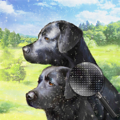 Deux Chiens Labrador Noirs Broderie Diamant