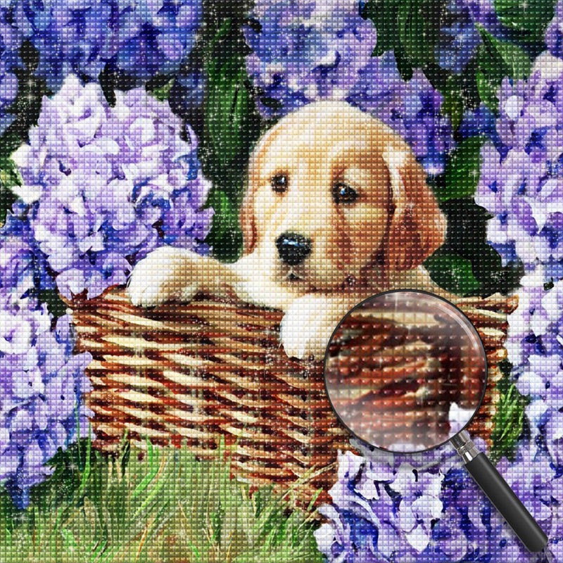 Chien Golden Retriever et les Hortensias Violets Broderie Diamant