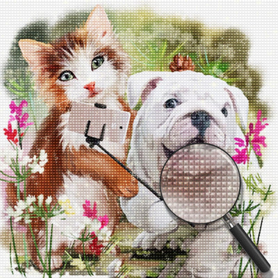 Selfie de Chiot et Chaton Broderie Diamant