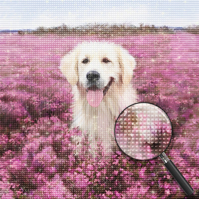 Chien Golden Retriever au Milieu de Fleurs Violettes Broderie Diamant