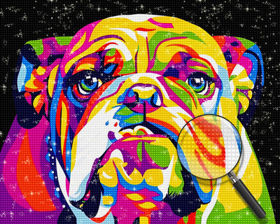 Chien Bouledogue Coloré Broderie Diamant