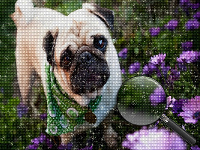 Chien Carlin avec un Foulard et Marguerites Violettes Broderie Diamant