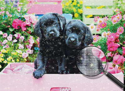 Deux Chiot Noir dans Jardin Animal Broderie Diamant