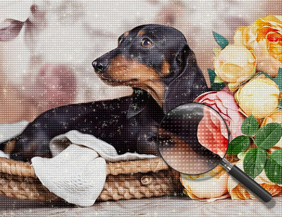 Chien Teckel et des Roses Broderie Diamant