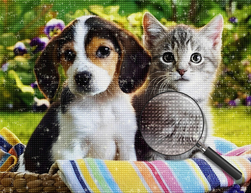 Mignons Chiot Beagle et Chaton Animal Broderie Diamant