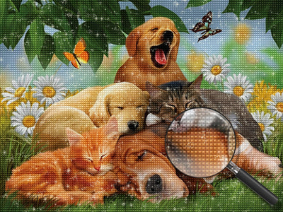 Chiens et Chats avec des Fleurs Broderie Diamant