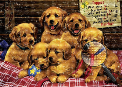 Six Chiots Golden Retriever Animal Broderie Diamant