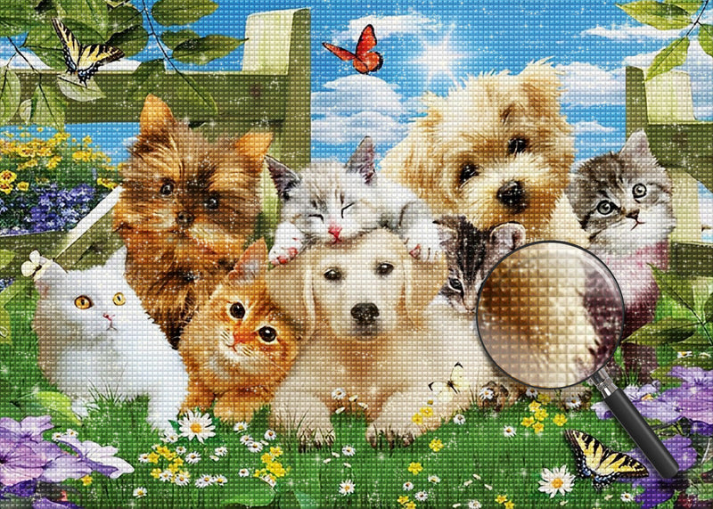Chiots et Chatons Broderie Diamant
