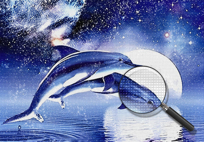 Deux Dauphins et la Nuit Etoilée avec la Lune Claire Broderie Diamant