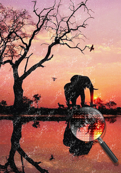 Éléphant et Sa Propre Image dans l'Eau Broderie Diamant
