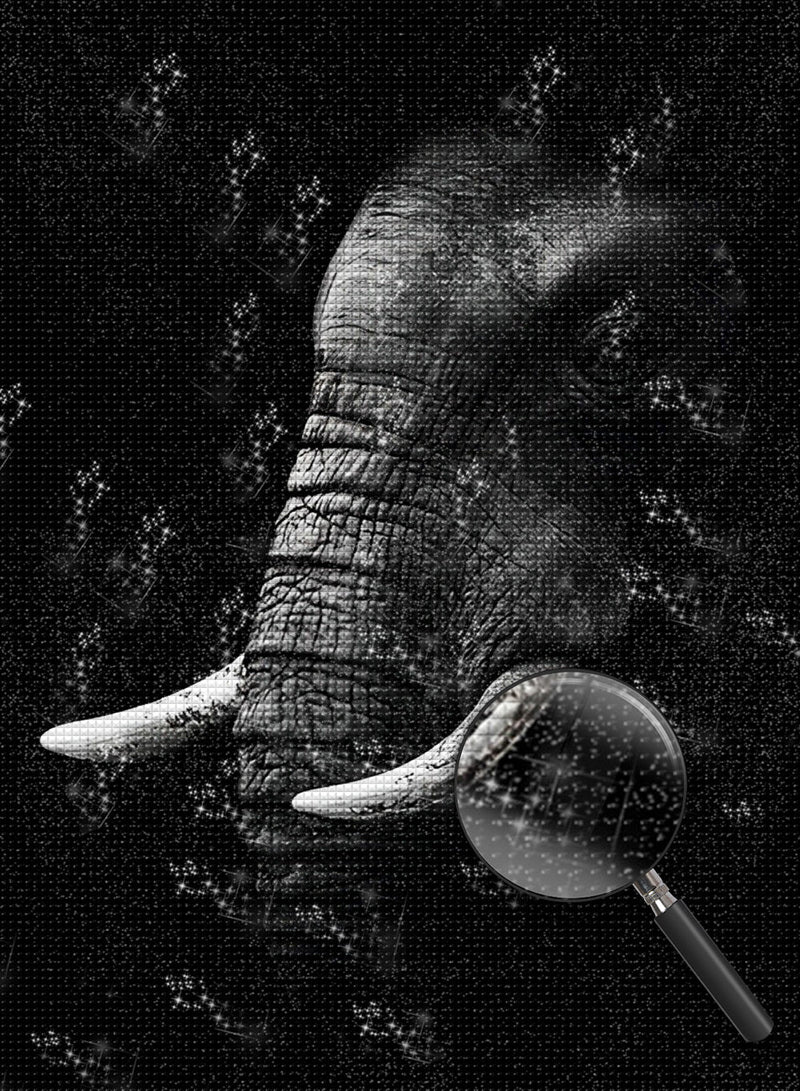 Éléphant Blanc et Noir Broderie Diamant