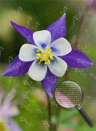 Fleur Violette et Blanche Broderie Diamant
